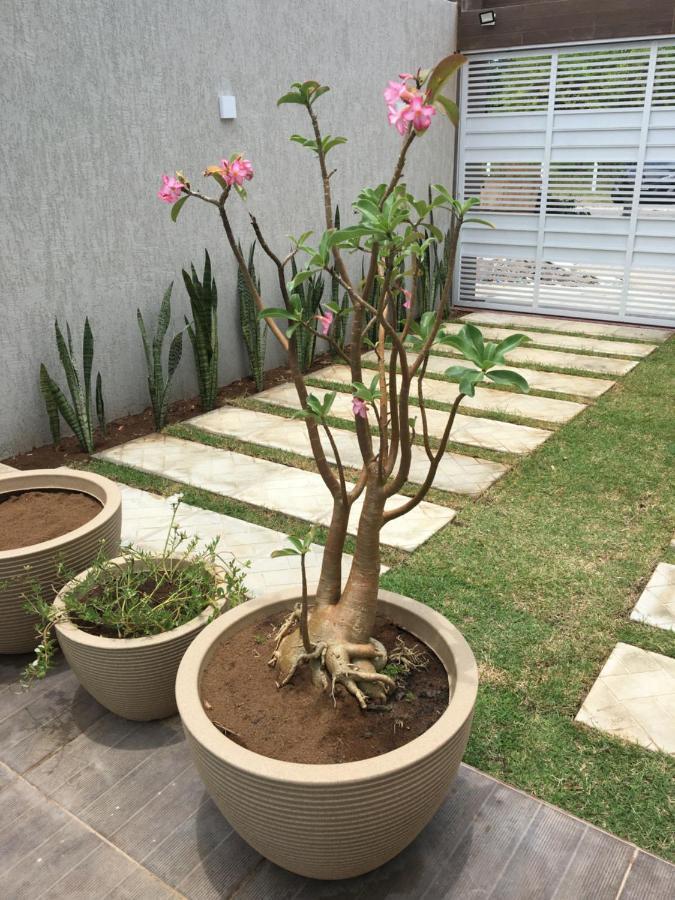 Casa De Praia Tamandaré Kültér fotó